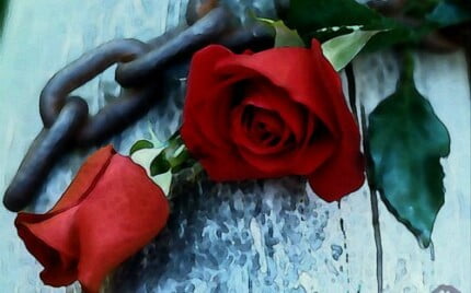 Abstract Art Vinyl Wall Decals 18