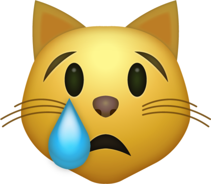 CAT Crying Emoji