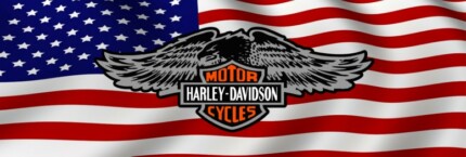 H D USA 4 Rear Window Graphic