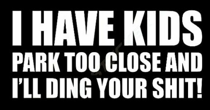 HAVE KIDS I WILL DING YOUR SHIT funny car sticker