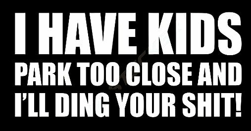 HAVE KIDS I WILL DING YOUR SHIT funny car sticker