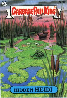 Hidden HEIDI Funny Sticker Name Decal