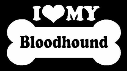 I Love My Bloodhound