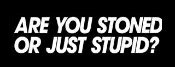 Are You Stoned Vinyl Car Decal