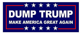 DUMP TRUMP STICKER 7