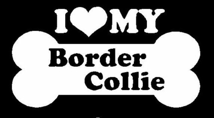 I Love My Border Collie