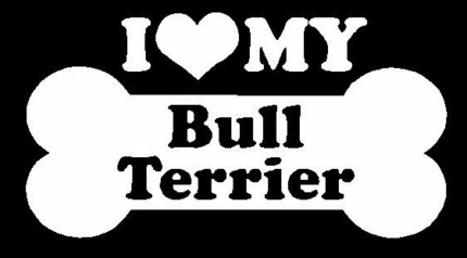 I Love My Bull Terrier