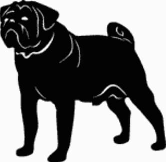 15S Pug Dog Decal