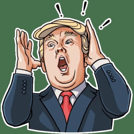 2020 TRUMP political sticker  06