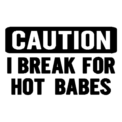 Hot Babes decal - 327