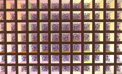 Abstract Vinyl Wall Decals 61