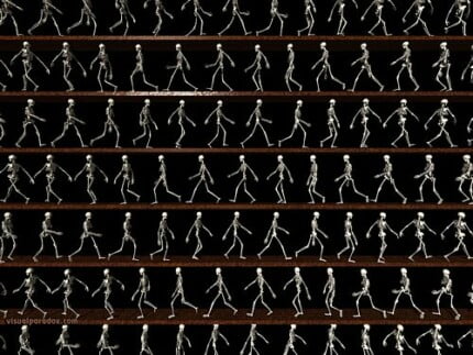 Dragons and Skull Wall Decals 07