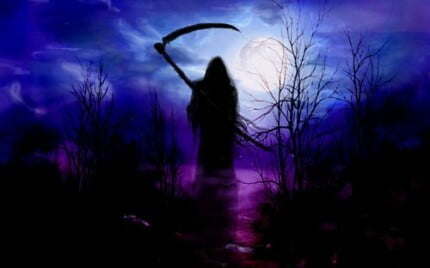 Dragons and Skulls Wall Decals 83