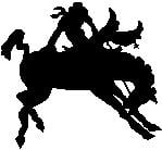 Bull Vinyl Wall Word Decal