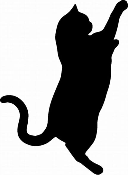 Cat Cats Animal Animals Vinyl Decal Sticker 05