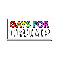TRUMP GAY FOR TRUMP SICKER