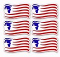 TRUMP USA FLAG DESIGN STICKER SET OF 6