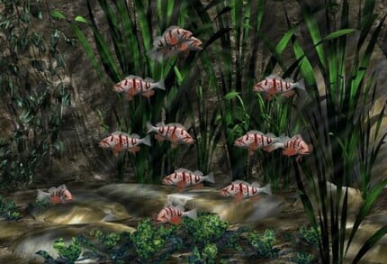 3D Object Vinyl Wall Decals 49