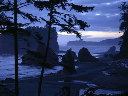 Beaches and Coastal Vinyl Wall Graphics 111