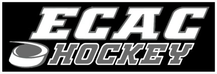 ECAC HOCKEY STICKER for guys