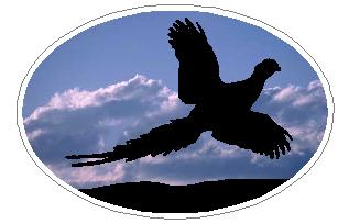 Oval Pheasant Decal