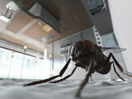 Butterflies and Bugs Wall Decals 13