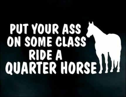 Class On Quarter Horde Vinyl Decal