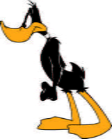 Daffy 07