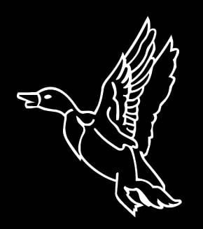 Flying Duck Vinyl Decal