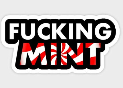 FUCKING MINT COLOR VINYL AUTO STICKER