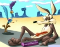 Wile E Coyote Dildo Adhesive Vinyl Decal Sticker