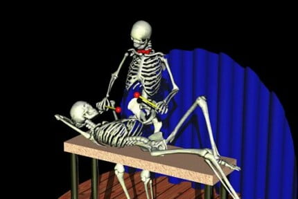 Dragons and Skull Wall Decals 37