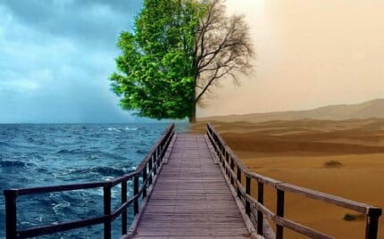 Fairies and Fantasy Wall Graphics 031