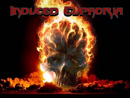 Induced Euphoria Color Band Sticker