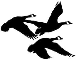 Three Geese Vinyl Truck Decal