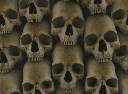 Dragons and Skull Wall Decals 41