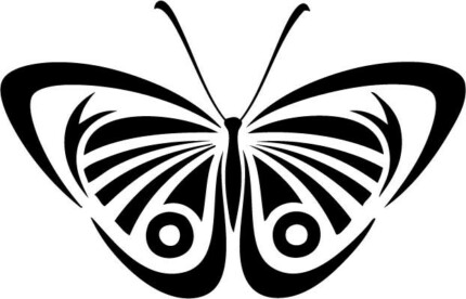 Butterfly Vinyl Window or Wall Decal 6