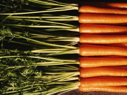 Close Up Photography Vinyl Graphics 22