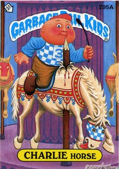 CHARLIE Horse Funny Sticker Name Decal