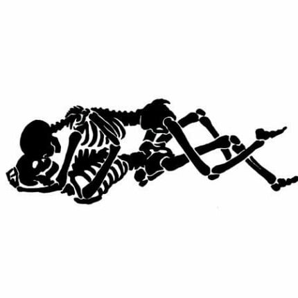 Boney Lovers Vinyl Decal