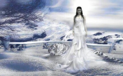 Fairies and Fantasy Wall Graphics 045