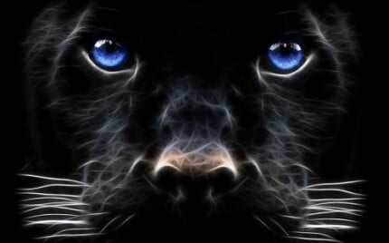 3d Objects as Art Wall Decals 03