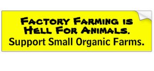 factory_farming_is_hell_bumper_sticker