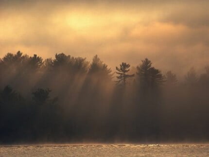 Beaches and Coastal Vinyl Wall Graphics 138