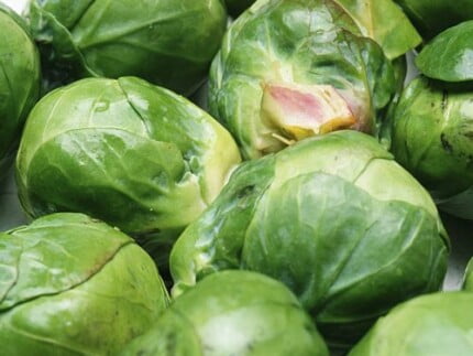 Close Up Photography Vinyl Graphics 21