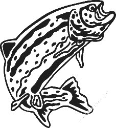 Fishing Decal Sticker 29