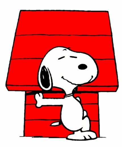 snoopy color sticker 4