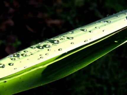 Spring TIme Vinyl Wall Decals 37