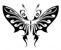Tribal Butterfly 23