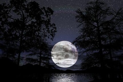 Buildings and Landscape Wall Decals 025